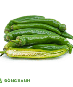 ớt sừng xanh