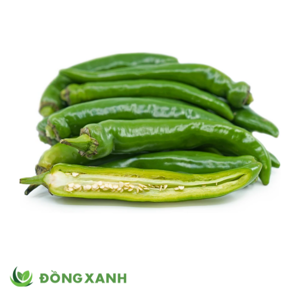 ớt sừng xanh