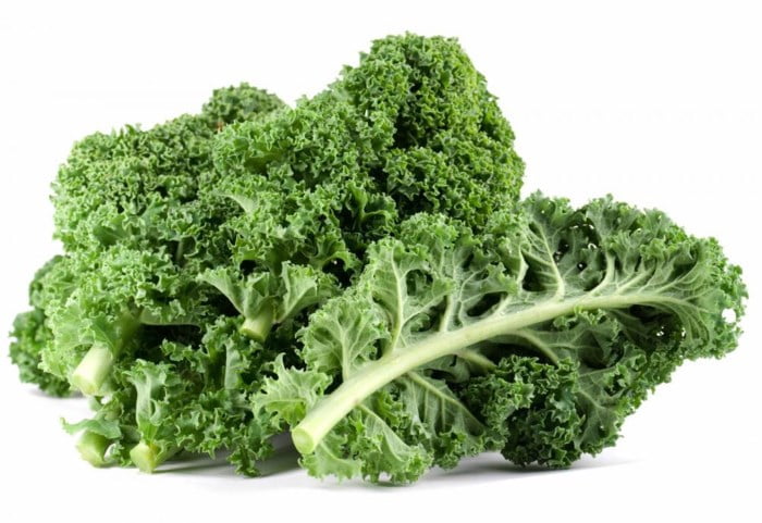Kinh nghiệm trồng cải kale trong nhà kính và cách chăm sóc hiệu quả