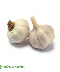 tỏi củ khô
