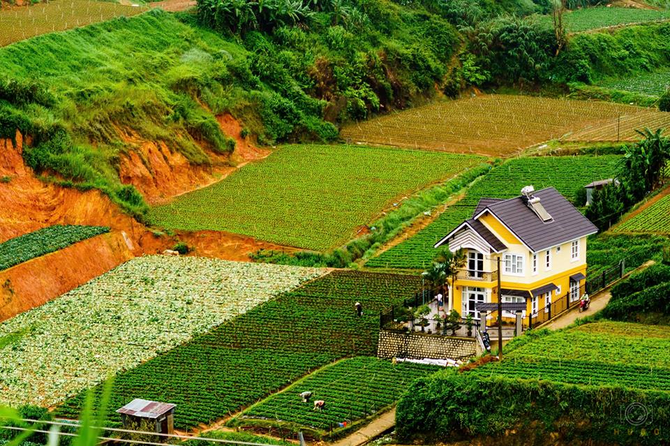 tour tham quan nha vuon da lat gia re trai nghiem nha nong da lat 16 1