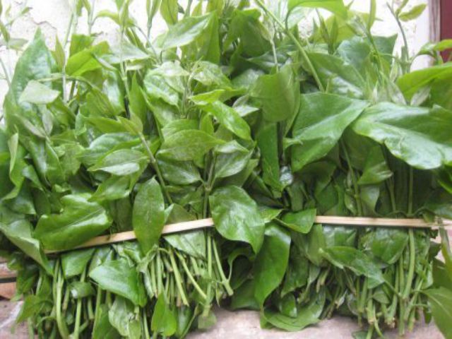 Rau sắng