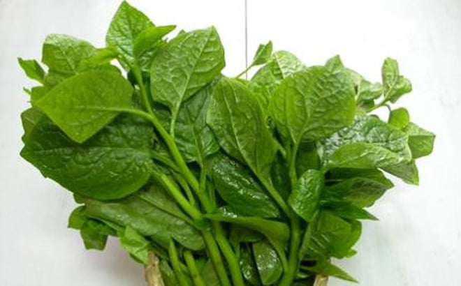 Rau mồng tơi ngăn ngừa và điều trị mụn