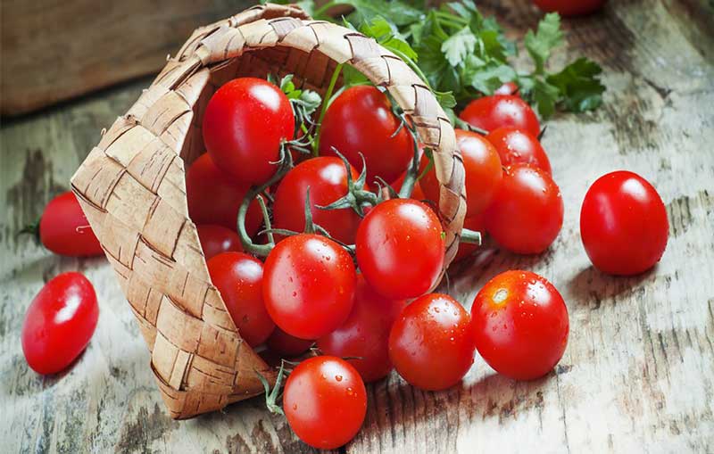 Không nên bảo quản cà chua trong tủ lạnh