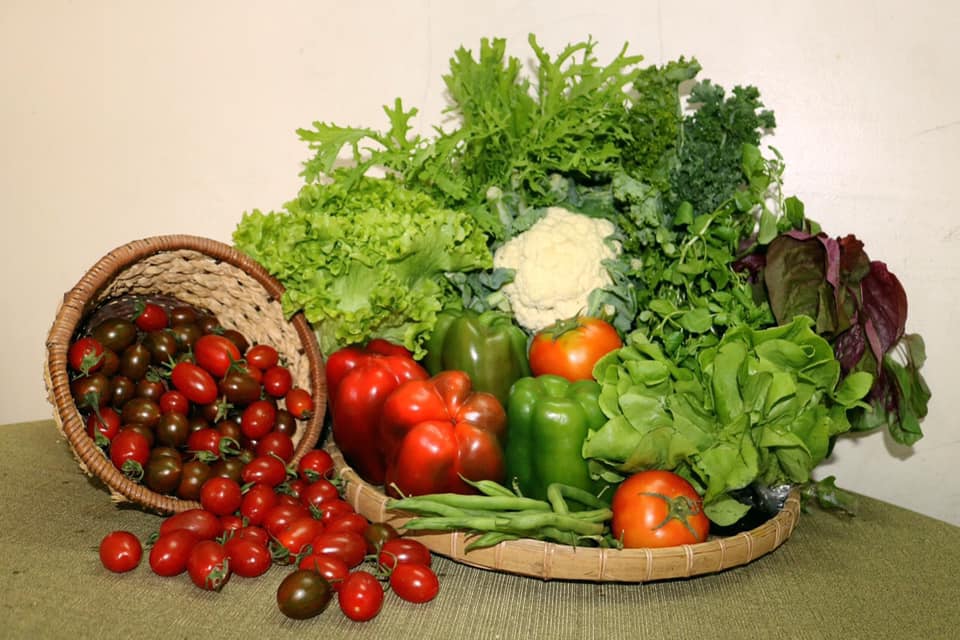 Thực phẩm tự nhiên được trồng và chăm sóc theo phương pháp truyền thống