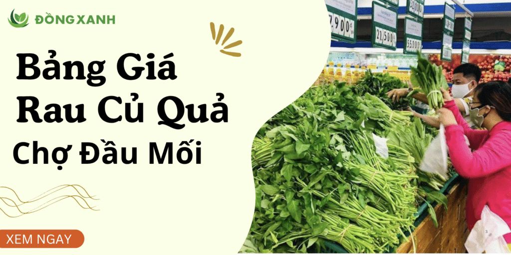 Bảng Giá Rau Củ Quả Chợ Đầu Mối Hôm Nay