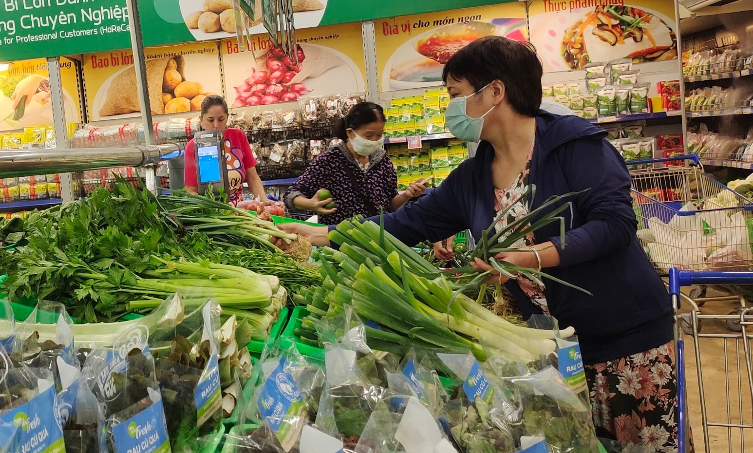 Quan sát hình dáng của rau Quan sát hình dáng của rau